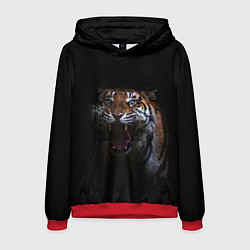 Толстовка-худи мужская Тигр, цвет: 3D-красный
