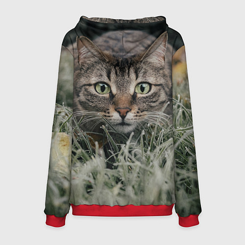 Мужская толстовка Кошка / 3D-Красный – фото 2