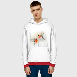 Толстовка-худи мужская Снегири, цвет: 3D-красный — фото 2