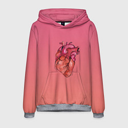 Толстовка-худи мужская Анатомия сердце реальное, цвет: 3D-меланж