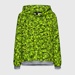 Мужская толстовка Хмель