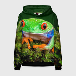 Мужская толстовка Тропическая лягушка