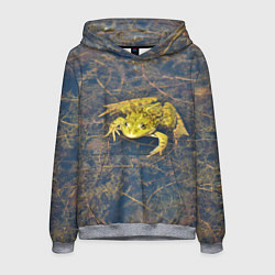 Мужская толстовка Лягушка