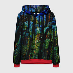 Мужская толстовка Разноцветная гора