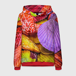 Толстовка-худи мужская Разноцветные ракушки multicolored seashells, цвет: 3D-красный