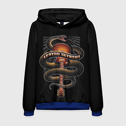 Толстовка-худи мужская LYNYRD SKYNYRD SNAKE, цвет: 3D-синий