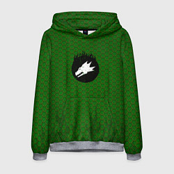 Мужская толстовка Саламандры чешуя дракона