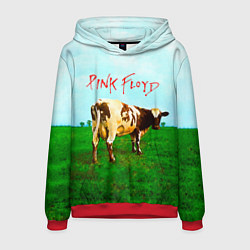 Толстовка-худи мужская Atom Heart Mother - Pink Floyd, цвет: 3D-красный