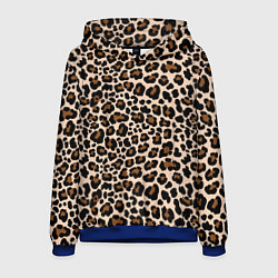 Мужская толстовка Леопардовые Пятна