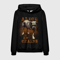Мужская толстовка Alice in chains Dog