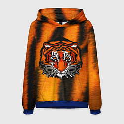 Толстовка-худи мужская Tiger Head-, цвет: 3D-синий