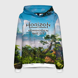 Мужская толстовка Horizon Forbidden West Хоризон Запретный Запад