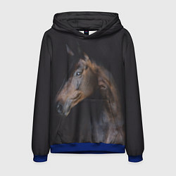 Толстовка-худи мужская Лошадь Благородство, цвет: 3D-синий