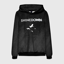 Мужская толстовка The Sound of Madness Shinedown