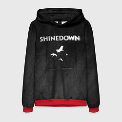 Мужская толстовка The Sound of Madness Shinedown