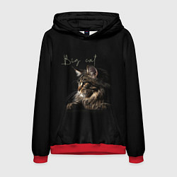 Мужская толстовка Big cat Maine Coon
