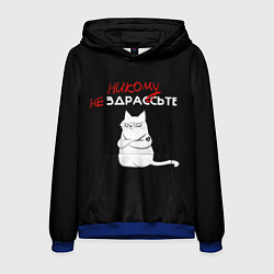 Мужская толстовка Неприветливый кот