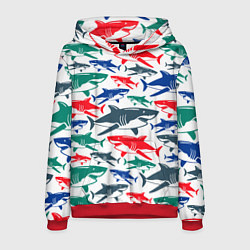Толстовка-худи мужская Стая разноцветных акул - паттерн, цвет: 3D-красный