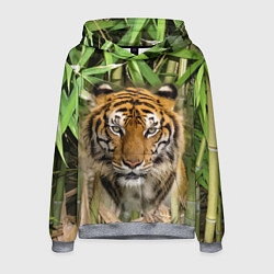 Толстовка-худи мужская Матёрый тигр в зарослях бамбука, цвет: 3D-меланж