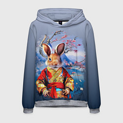 Толстовка-худи мужская Кролик в китайском халате, цвет: 3D-меланж