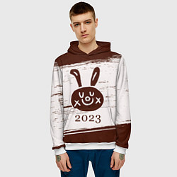 Толстовка-худи мужская Кролик 2023 рисованный на светлом, цвет: 3D-белый — фото 2