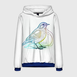 Толстовка-худи мужская Neon птица, цвет: 3D-синий