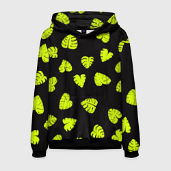 Мужская толстовка Листья - Монстера