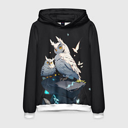 Мужская толстовка Филины и магия