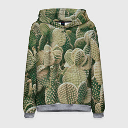 Мужская толстовка Поле кактусов