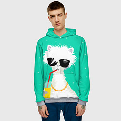 Толстовка-худи мужская Лама - альпака на чиле, цвет: 3D-меланж — фото 2