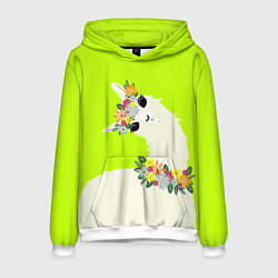 Мужская толстовка Летняя лама - альпака в венке