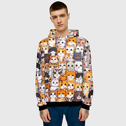 Толстовка-худи мужская Очень много котиков, цвет: 3D-черный — фото 2