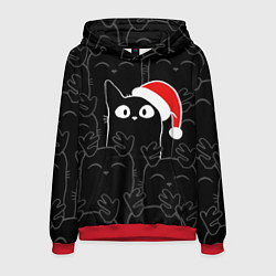 Мужская толстовка New year cats