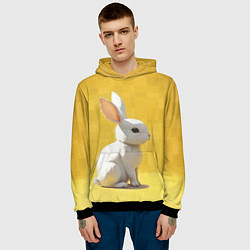 Толстовка-худи мужская Белоснежный кролик, цвет: 3D-черный — фото 2