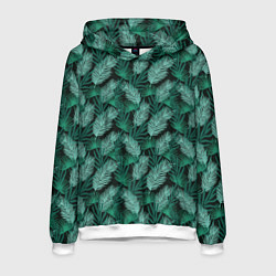 Мужская толстовка Паттерн тропические листья