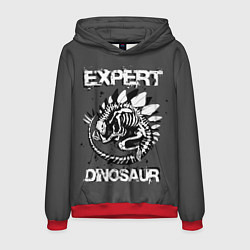 Мужская толстовка Dinosaur expert