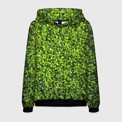 Толстовка-худи мужская Зелёная трава листья, цвет: 3D-черный