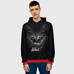 Толстовка-худи мужская Недобрый кот с зелёными глазами - What?, цвет: 3D-красный — фото 2