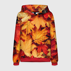 Мужская толстовка Осенние кленовые листья