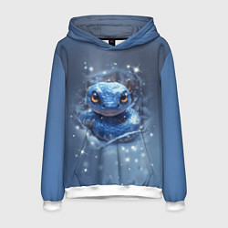 Мужская толстовка Змея с большими глазами