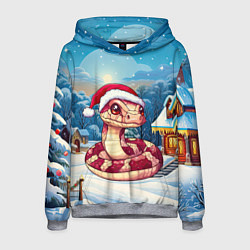 Мужская толстовка Добрая змейка 2025