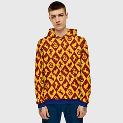 Толстовка-худи мужская Гарри Поттер факультеты, цвет: 3D-синий — фото 2