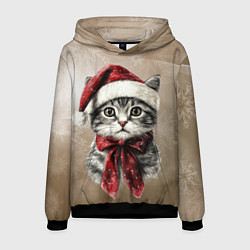 Мужская толстовка Котик в новогоднем колпаке