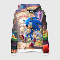 Мужская толстовка Sonic фантастический мир