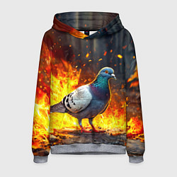 Мужская толстовка Голубь в огне