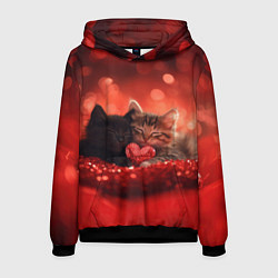 Мужская толстовка Влюбленные котята с сердечком