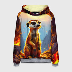 Мужская толстовка Сурикат в огне