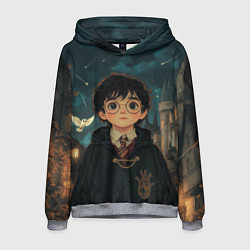 Мужская толстовка Гарри Поттер и замки