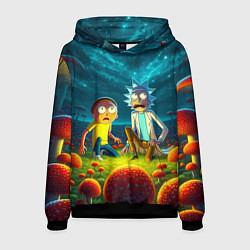 Мужская толстовка Rick and Morty on the fly agaric planet