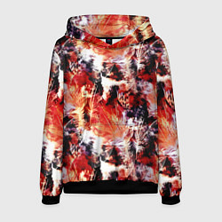 Мужская толстовка Огненные перья